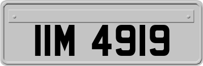 IIM4919
