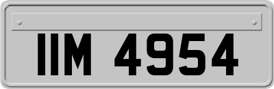 IIM4954