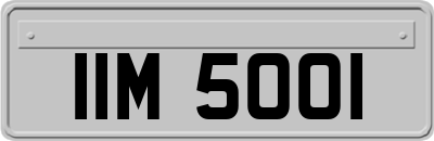 IIM5001