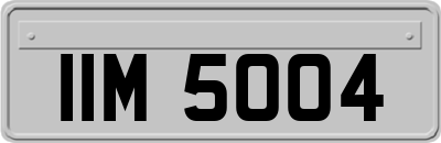 IIM5004
