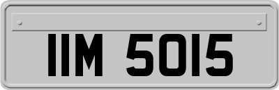 IIM5015
