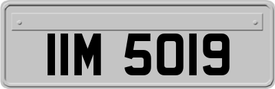 IIM5019