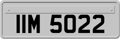 IIM5022