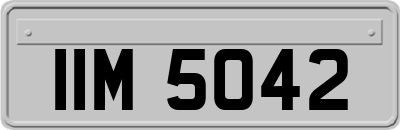 IIM5042