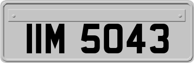 IIM5043