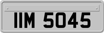 IIM5045