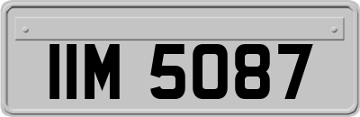 IIM5087