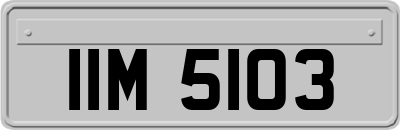 IIM5103