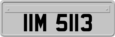 IIM5113