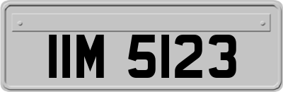 IIM5123