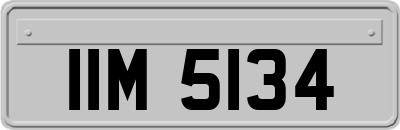 IIM5134