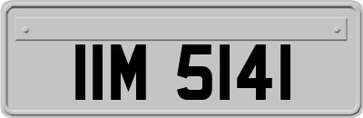 IIM5141