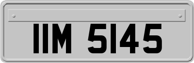 IIM5145