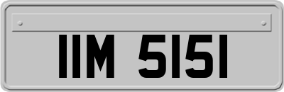 IIM5151