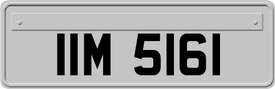 IIM5161