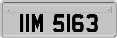 IIM5163