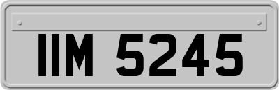 IIM5245