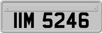 IIM5246