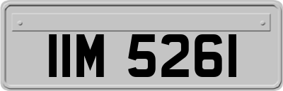 IIM5261
