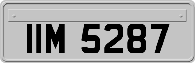 IIM5287