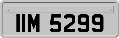 IIM5299