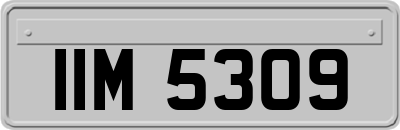 IIM5309