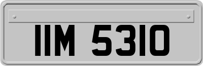 IIM5310