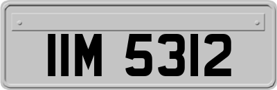 IIM5312