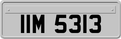 IIM5313