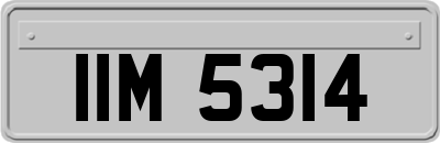IIM5314