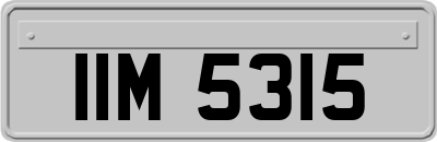 IIM5315