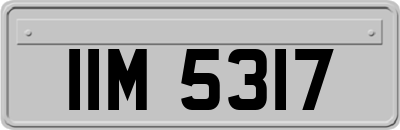 IIM5317