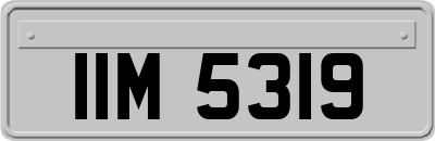 IIM5319