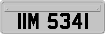 IIM5341