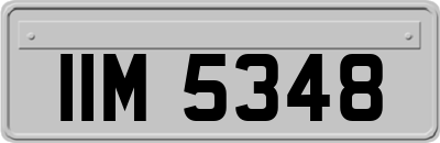 IIM5348