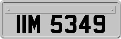 IIM5349
