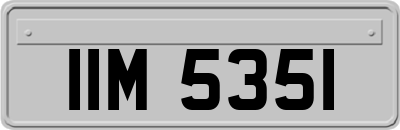 IIM5351