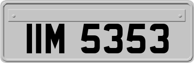 IIM5353