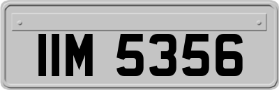 IIM5356