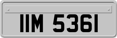 IIM5361