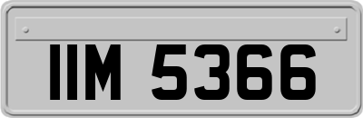 IIM5366
