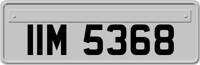 IIM5368
