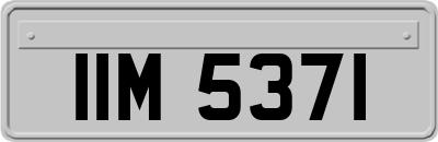 IIM5371