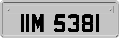 IIM5381