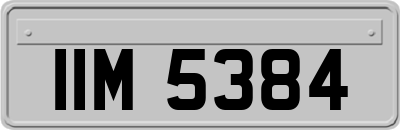 IIM5384