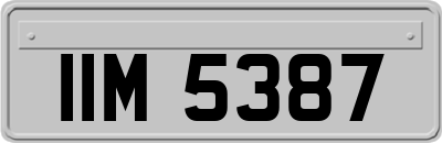 IIM5387