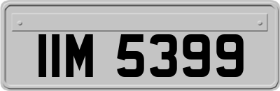 IIM5399