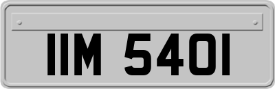 IIM5401