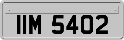 IIM5402