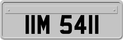 IIM5411